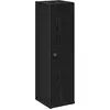 Image de vidaXL Armoire de salle de bain avec porte-rouleau Noir 20,5x22x72 cm
