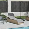 Image de vidaXL Chaise longue pliante avec support et espace de rangement Beige Poly-Rattan