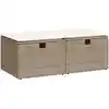 Image de vidaXL Ensemble de salon de jardin 2 pièces avec coussins Beige Poly rotin Acacia