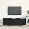 Image de vidaXL Meuble TV noir imitation chêne 120 x 30 x 40,5 cm