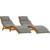 Image de Chaise longue vidaXL avec coussins (2 pièces), gris, bois massif d'acacia