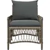Image de vidaXL Chaise de jardin avec coussin Gris 73 x 61 x 77 cm en rotin synthétique