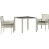 Image de vidaXL Ensemble de jardin 3 pcs gris clair Poly-Rotin