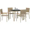 Image de vidaXL Ensemble de jardin 5 pcs Beige Poly-Rattan