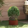 Image de vidaXL Anneau de jardin en métal rouillé, 30 x 30 x 20 cm, acier résistant aux intempéries