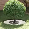 Image de vidaXL adapté pour anneau d'arbre plat blanc Ø30 / 60 cm acier