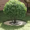 Image de vidaXL approprié pour anneau d'arbre plat argent Ø30 / 60 cm acier inoxydable