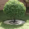 Image de vidaXL approprié pour anneau d'arbre plat argent Ø30 / 60 cm Acier galvanisé