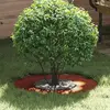 Image de vidaXL adapté aux anneaux d'arbres plats 5 pcs brun Ø30 / 60 cm
