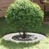 Image de vidaXL adapté pour anneau d'arbre plat blanc Ø40 / 70 cm acier