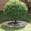 Image de vidaXL, adapté aux arbres à faible couronne, couleur argent, diamètre 40/70 cm, en acier inoxydable