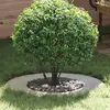 Image de vidaXL approprié pour anneau d'arbre plat argent Ø40 / 70 cm Acier galvanisé