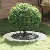 Image de vidaXL, adapté aux arbres à faible hauteur, blanc, diamètre 50/80 cm, acier