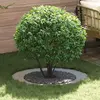 Image de vidaXL approprié pour anneau d'arbre plat argent Ø60 / 90 cm Acier galvanisé