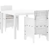 Image de vidaXL Ensemble de table et chaises d'extérieur, 3 pièces, blanc, en polypropylène