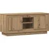 Image de vidaXL Armoire TV Chêne Artisan 102 x 35 x 45 cm Bois composite