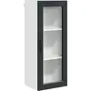 Image de Armoire murale en verre vidaXL PORTO, noir, 40 x 31 x 100 cm, aggloméré
