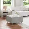 Image de Vidaxl Pouf De Rangement Gris Clair 80 X 80 X 45 Cm Velours