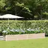 Image de Jardinière Ivoire 385 X 50 X 45 Cm Acier Galvanisé Vidaxl