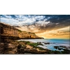 Image de Samsung 55" Crystal UHD 4K Signage QE55T