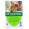 Image de BAYER Advantage 80 pour chat et lapin de 4kg et plus 4x 0.8ml