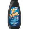 Image de Shampooing Schauma pour cheveux normaux et gras à l'extrait de houblon 350 ml