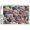 Image de Puzzle oursin 1000 pièces