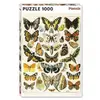 Image de Millot - Papillons