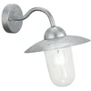 Image de EGLO Applique murale d'extérieur Milton 60 W argent 88489