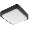 Image de Applique murale et plafonnier Smart LED, intensité lumineuse variable LxH 25x8cm