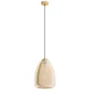 Image de Eglo Hanging Lamp Alobrase E27 1x40w 110x30cm 98647
