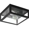 Image de Eglo 99122 AMEZOLA E27 Applique/plafonnier noir IP44