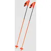 Image de One Way Fr 13 Comp Flame 2026 Bâtons de Ski gris 125