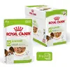 Image de Royal Canin Xsmall Adult CIG 12x85g