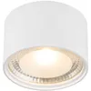 Image de Globo - Plafonnier - Serena - Blanc - Métal - Ø 11cm - Led -