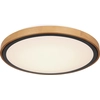 Image de Globo Lighting Plafonnier métal noir mat, LED