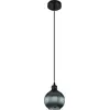 Image de Globo Zumba E27 Lampe à suspendre Noir Mat, Métal Ø15cm 15638P