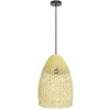 Image de Lampe suspendue SAMBUCONA 390237 Eglo