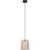 Image de Suspension FATTORIA acier noir E27 1X25W H:110cm Ø20cm dimmable