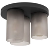 Image de Lampe De Plafond Colomera Fumer Du Verre Dépoli - 901161