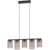 Image de Lampe Suspendue À 5 Lumières Colomera Ø 12cm - Verre Dépoli Fumé - 901163