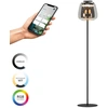 Image de Lampe De Pied Alfero-z Smoke Glass - Contrôle Par Application - 901196