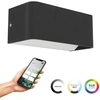 Image de Lampe Murale Intelligente Sania-z Noir - Led - 20cm - 901956
