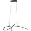 Image de Suspension Led Designer Cardoncito Noir - 902346