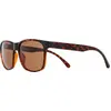 Image de Lunettes de soleil Red Bull Spect EARLE marron avec verres marron
