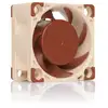 Image de Noctua NF-A4x20 PWM Boitier PC Ventilateur 4 cm Beige, Marron - Neuf