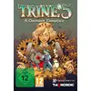 Image de THQ Nordic Trine 5: A Clockwork Conspiracy - Neuf