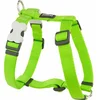 Image de Harnais pour chien Red Dingo souple 30-48 cm vert fluo