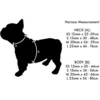 Image de Chadog - Harnais Chien Réglable Red Dingo Basic Vert Taille : T3