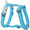 Image de Harnais Chien Red Dingo Fantaisie Bleu Motifs Étoiles Taille : T3